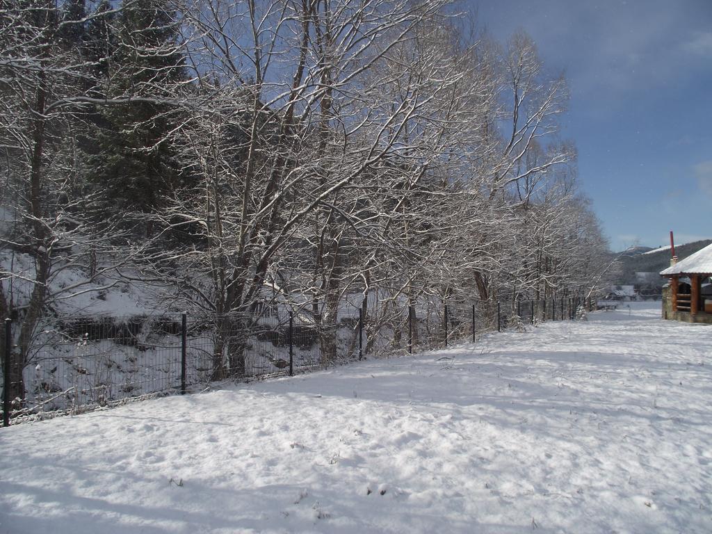 Cabana Piatra Runcului Vatra Moldoviţei Exterior foto